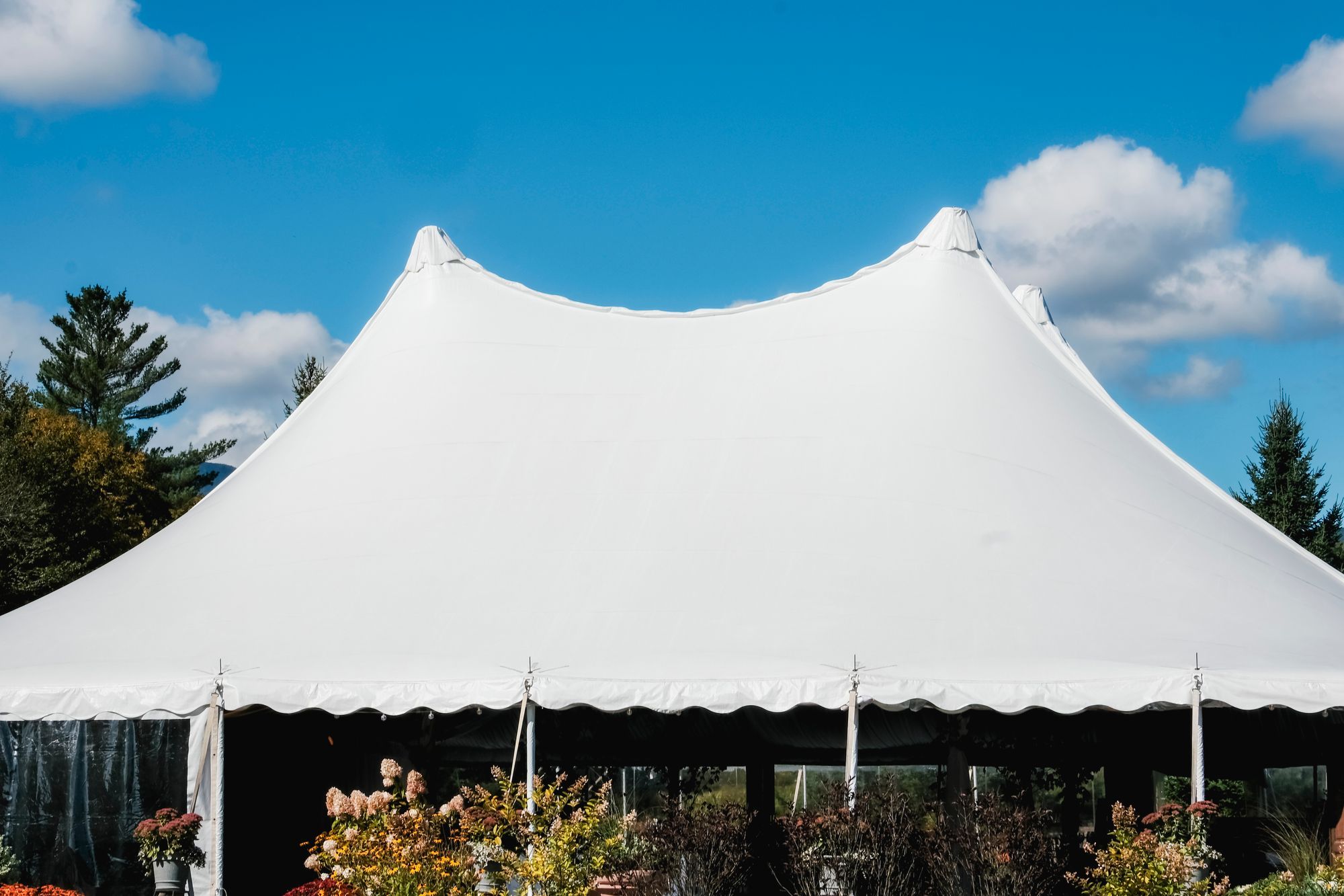 40' x 80' Pole Tent