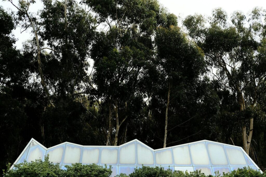 20' x 20' Clear High Peak Tent rental in Jumpertown