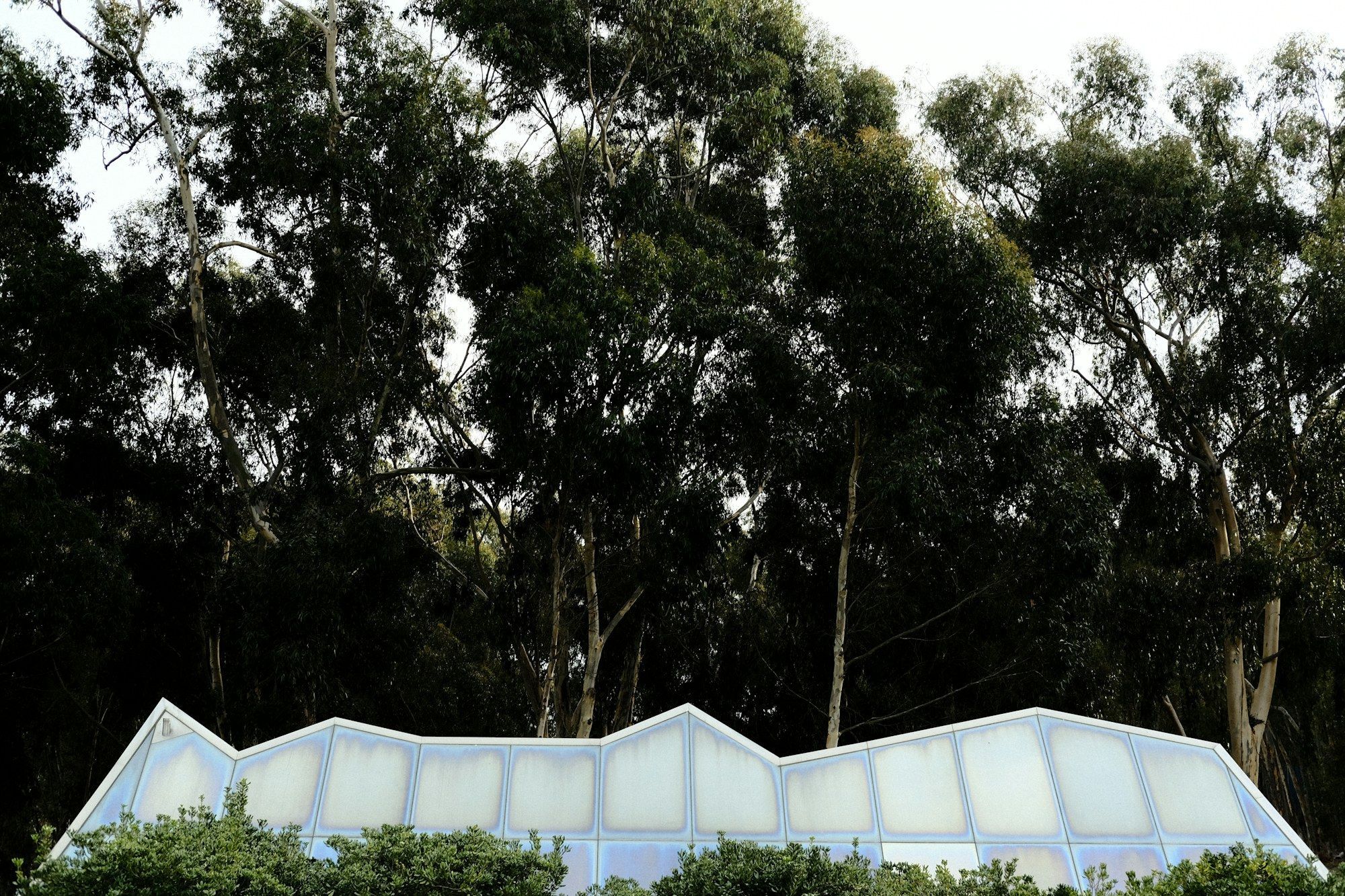 20' x 20' Clear High Peak Tent