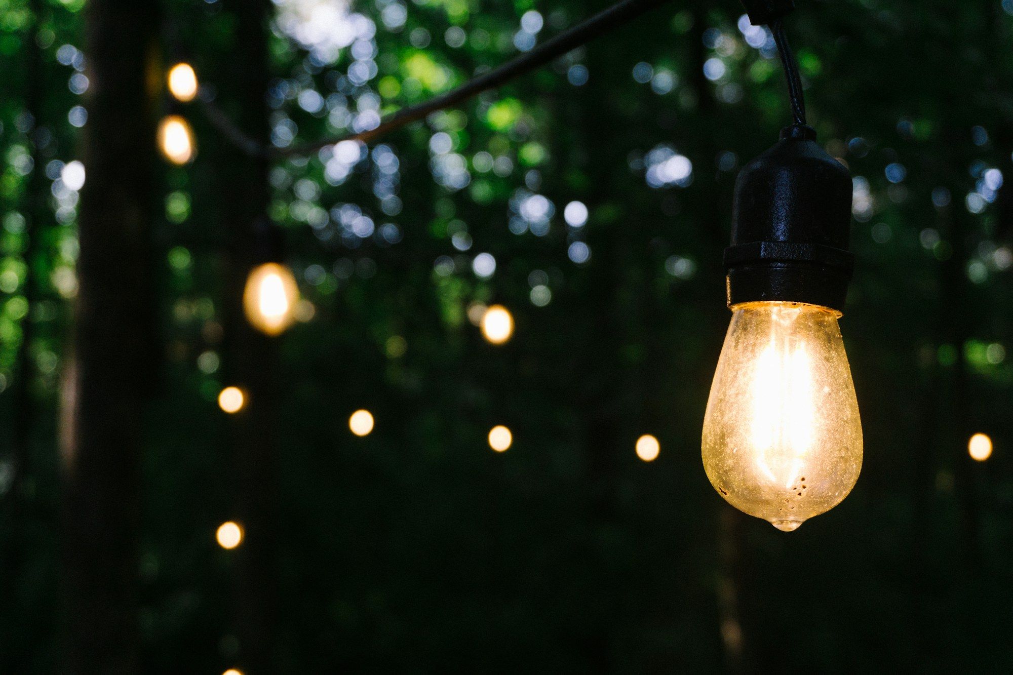 Edison String Lights (50 ft) Edison String Lights (50 ft)