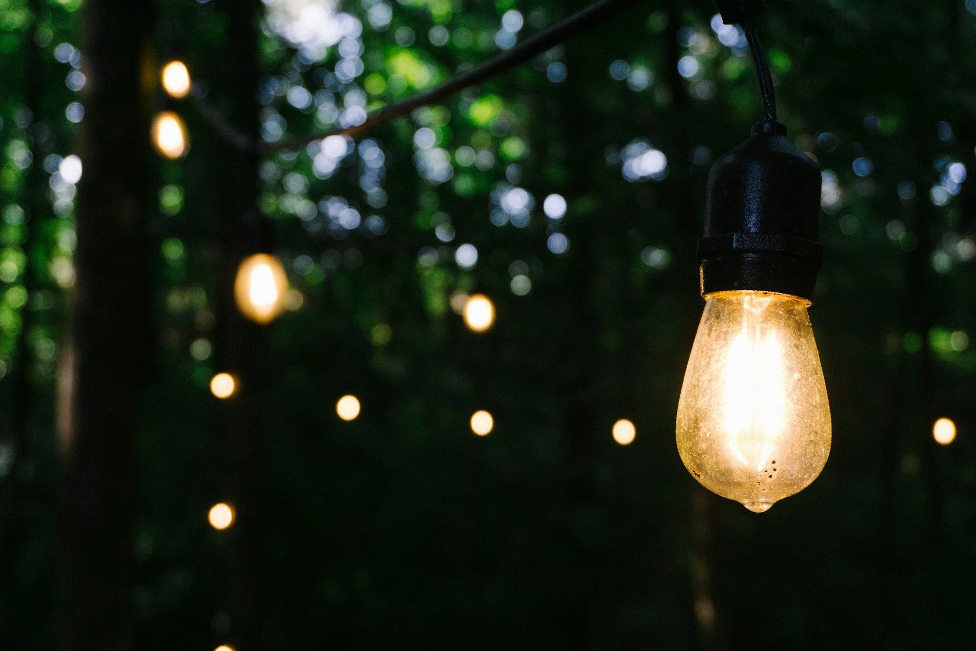 Edison String Lights (50 ft)